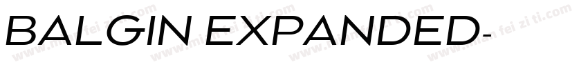 BALGIN EXPANDED字体转换